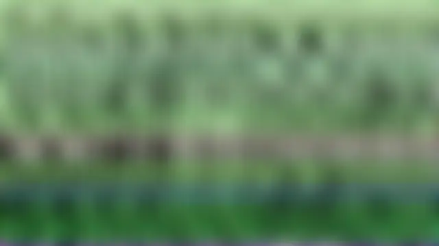 Sala de chat ao vivo de Q911
