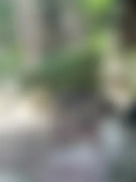 Hikomy- Webcam show