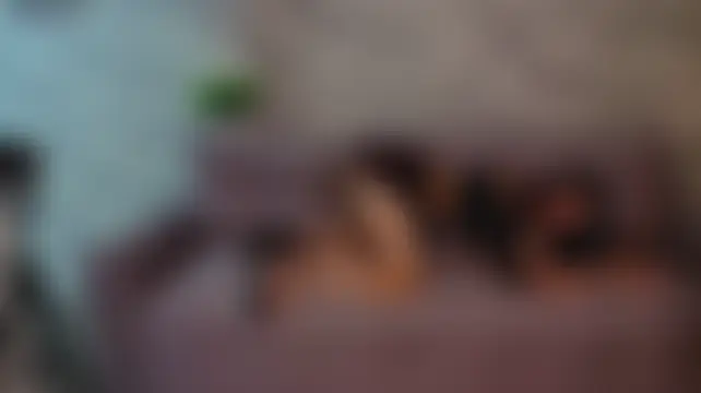 Nicole_Allenn's Live Webcam Chat