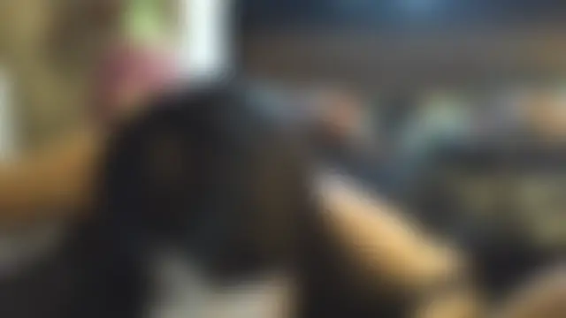 mollythegamer6 Live Sex Cam Show