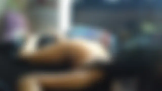 Show Webcam de mollythegamer6