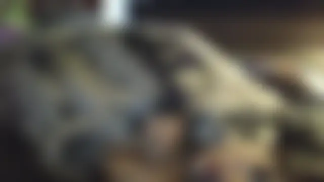 mollythegamer6 Live Chatrum