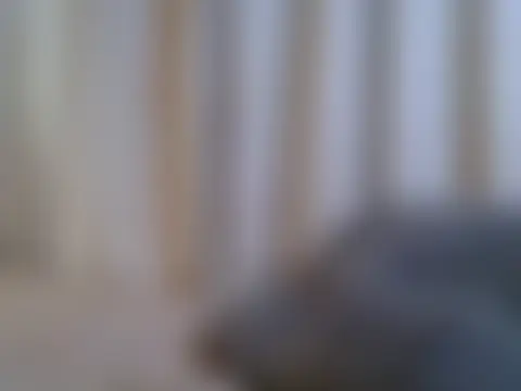 צ'אט XXX בשידור חי של Sexy_slurt