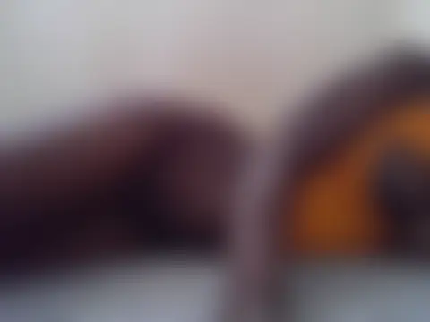 Coco_bloom Live Chatrum