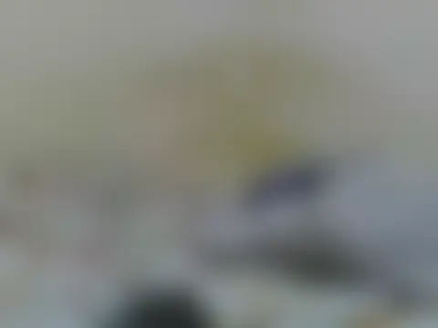 חדר צ'אט בשידור חי של Coco_bloom
