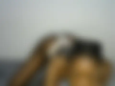 Velvet_Vixenn – live chatrum