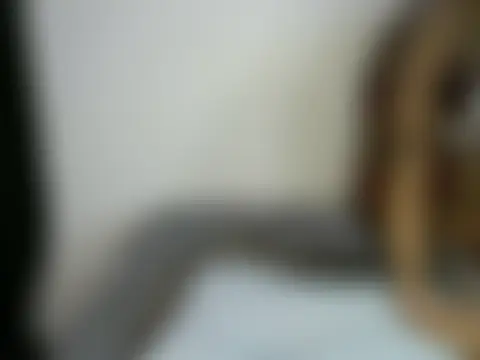 Velvet_Vixenn Chat XXX live