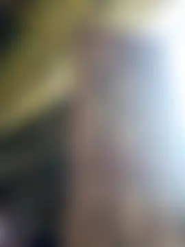 Bilik Sembang Langsung lylai18