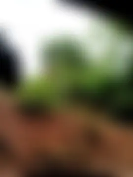 Chat ao vivo de lylai18
