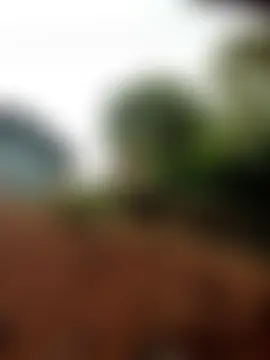 lylai18 Chat XXX in diretta