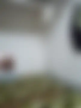 SexyBhumii লাইভ XXX চ্যাট