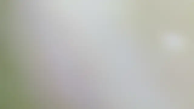 Sala de chat ao vivo de karol_stom