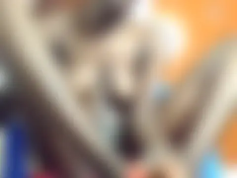 mistressoundgasmn Live chat-huone
