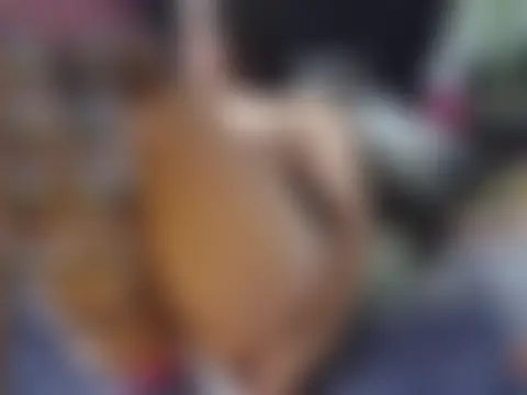 Chat XXX Live Layyla__ah
