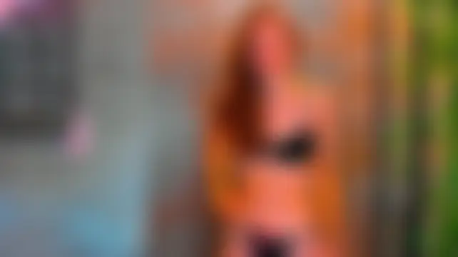 MieliaLi লাইভ XXX চ্যাট