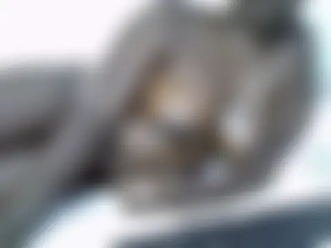 LenySlut 网络视讯表演