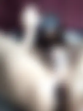 Ak69aka ওয়েবক্যাম শো