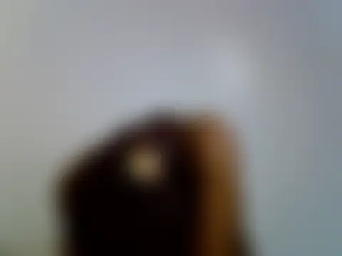 Chat ao vivo de Calmfolower