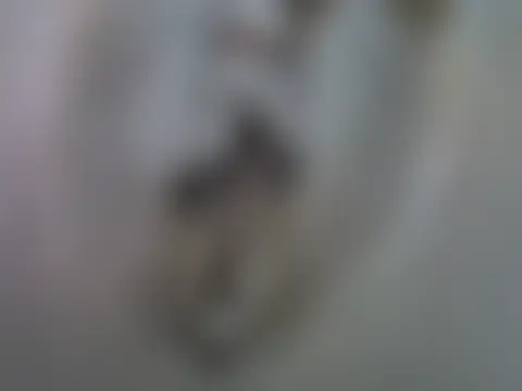 SexyQ_n Live chat-huone