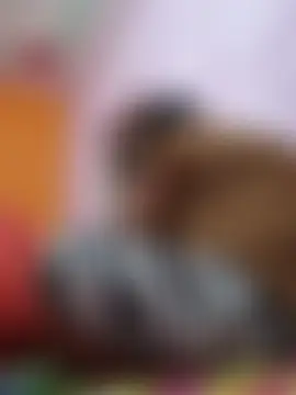 Big_ass_girl1 Adlı Modelin Canlı Sohbet Odası