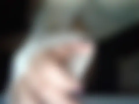 2suciosencama – Naživo chatovacia miestnosť