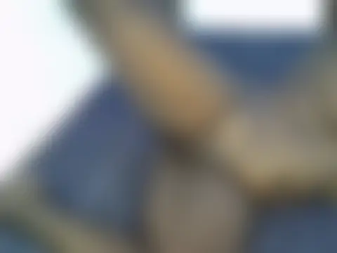 Živá chatovací místnost Queen_Jee