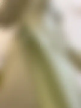 NINA2102's Live XXX Chat