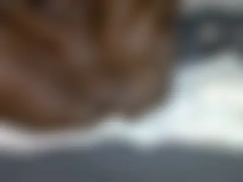 Chat soba uživo modela creamypanterapussy