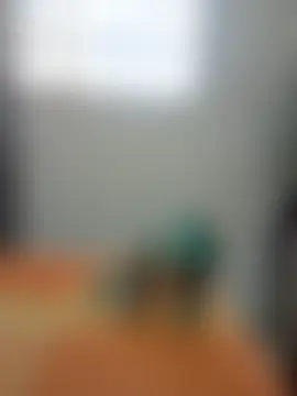 Elcontadorysusecretariaのライブチャットルーム