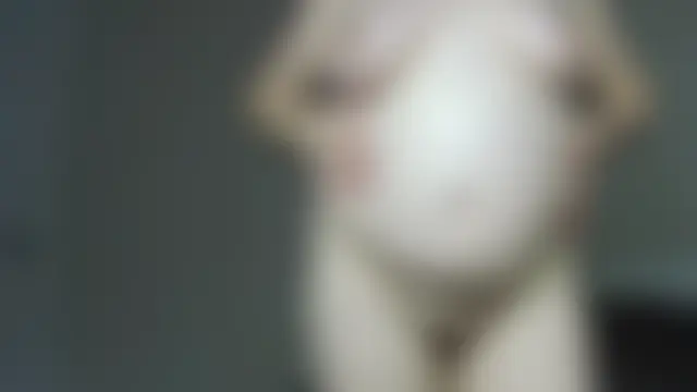 Chat ao vivo de IdaDavis