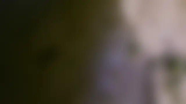 nastydianastrips 现场聊天室