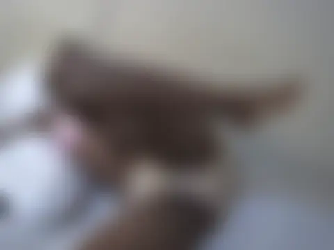 britneysherl 即時聊天室