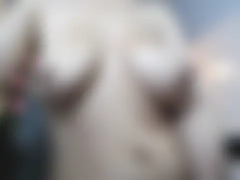 Chat +18 de konny_darling_a ao vivo