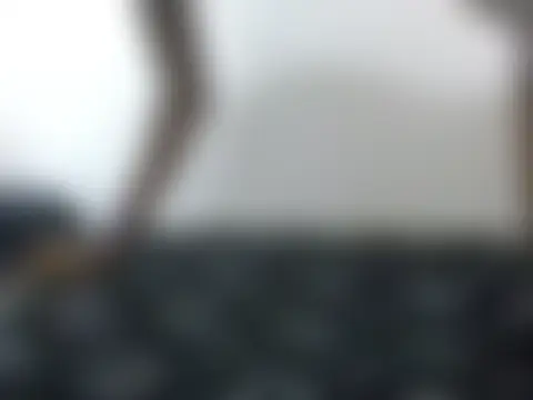 חדר צ'אט בשידור חי של Young_Cie