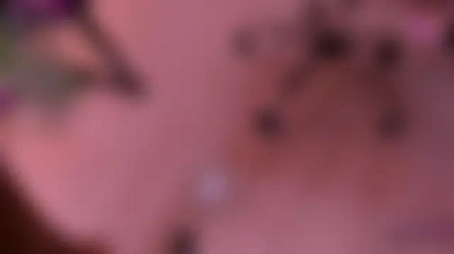 Sala de chat en directo de Kiaraa_lux