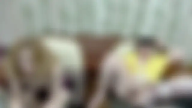 הופעת וובקאם של Kati000888