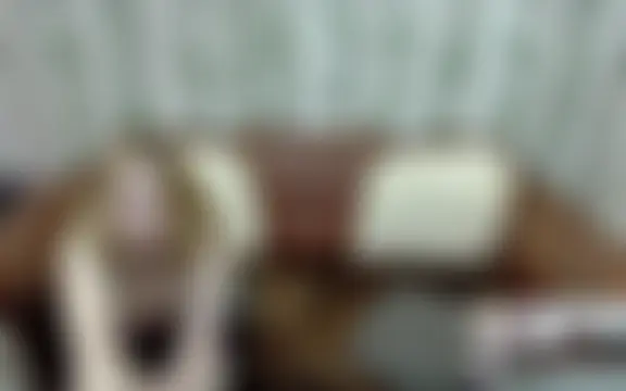 Kati000888 Chat Room in diretta