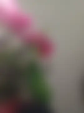 kat2002a 现场聊天室