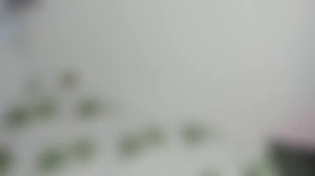 RosseKardashian Live chatroom