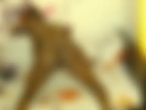 Snazzy_Angels Cameră chat live