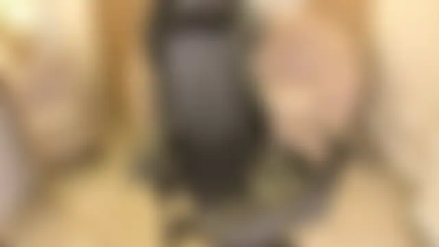 Lauris_b чат на живо