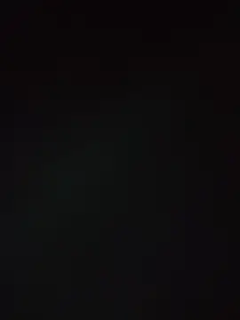-Levy- live-chat rom