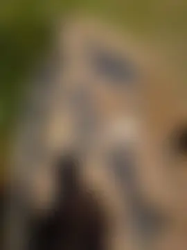 Neha_huttt Live Chatrum