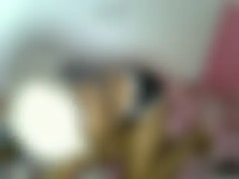 YunaNorth Show Webcam