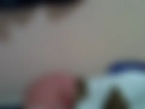 BerryFeyn Live chat-huone