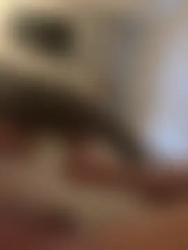 meiooooow's Live XXX Chat