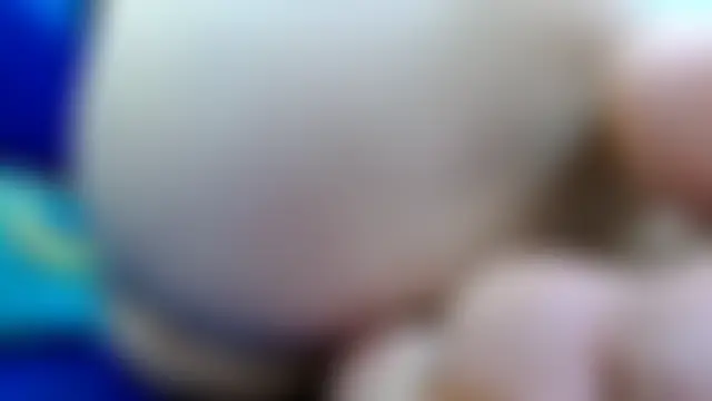 thebesthairypussy2 现场聊天室