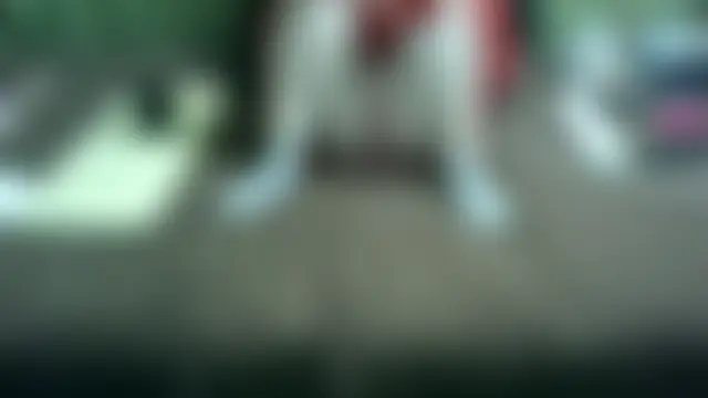 IngaQAce Cameră chat live