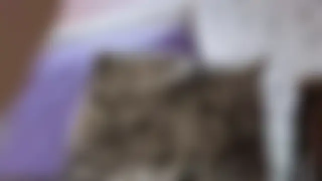 دردشة LORA_x الجنسية المباشرة