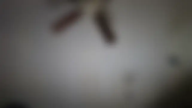 عرض كام LordSpunFun